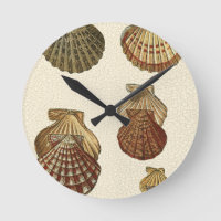 Coquilles antiques crépitées