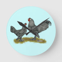 Coucou de poulets de Breda