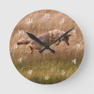 Horloge Ronde Coyote Leaping - Gibbon Meadows