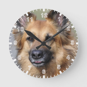 Horloge Ronde Créez votre propre photo d'animal de compagnie
