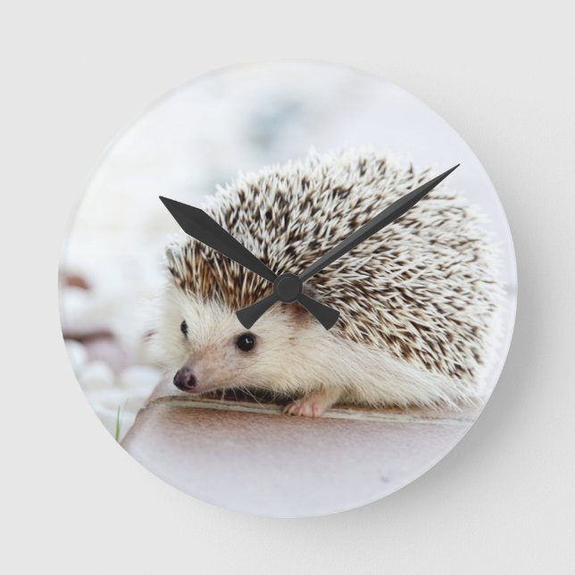 Horloge Ronde Cute Baby Hedgehog (Recto)