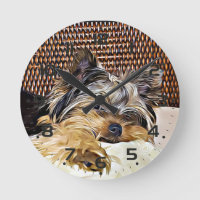 Cute Teacup Yorkie Yorkshire