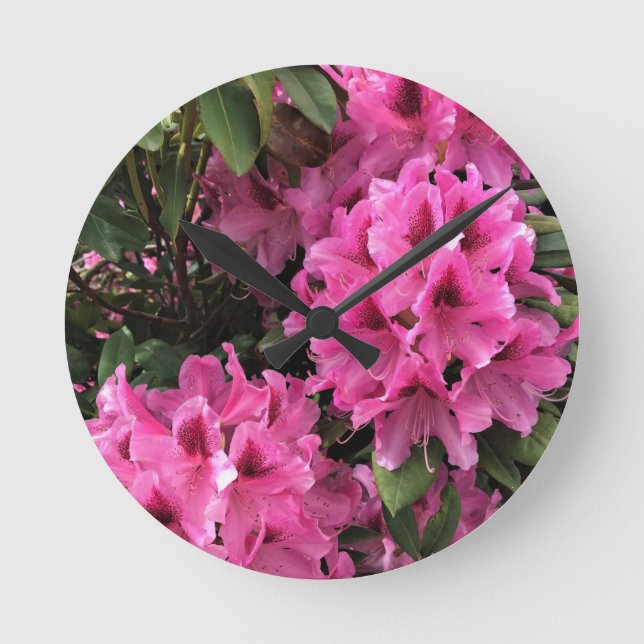 Horloge Ronde Cynthia Rhododendrons, Oregon (Recto)