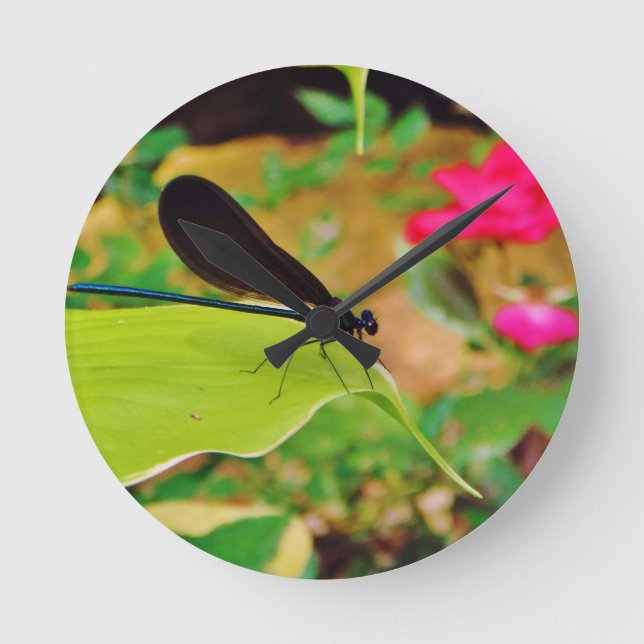 Horloge Ronde Damselfly et Rose (Recto)