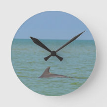 Dauphin sur Sanibel