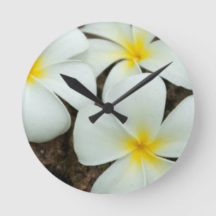 Horloge Ronde De Belles Flores Tropicales Dans Le Pacifique Sud