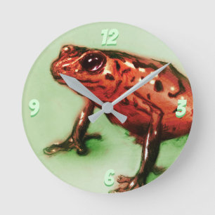 Horloge ronde de la grenouille rouge, croquis d'an