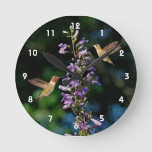 Horloge Ronde Deux Hummingbirds en vol avec cadenas de fleurs