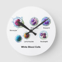 Diagramme des cellules de sang blanc Leukocytes