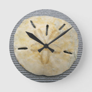 Horloge Ronde Dollar de sable naturel