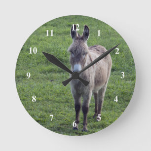 Horloge Ronde Donkey Brown Tan Animal Photo