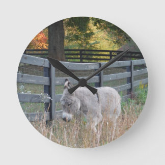 Horloge Ronde Donkey dans un champ d'automne