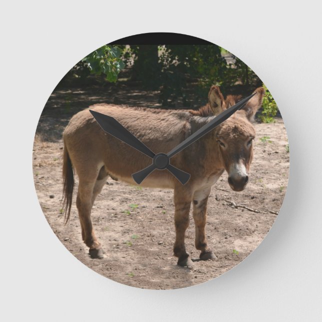 Horloge Ronde Donkey démocrate (Recto)