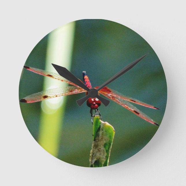 Horloge Ronde Dragonfly frontale rouge et noire (Recto)
