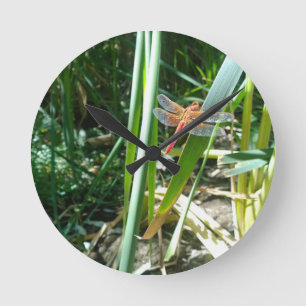 Horloge Ronde Dragonfly rouge accroché à la feuille