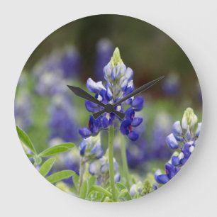 Horloge ronde du champ Bluebonnet