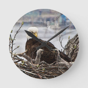 Horloge Ronde Eagle chauve avec des aiglons