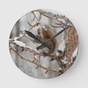 Horloge Ronde Écureuil d'hiver, neige et baies rouges Conception