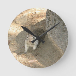 Horloge Ronde Écureuil mignon en Yosemite, CA