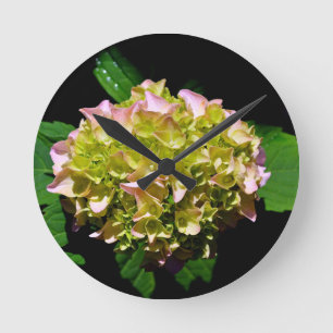Horloge Ronde Elégantes hydrangées florales vertes et douces