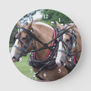 Horloge Ronde Équipe de Belgique