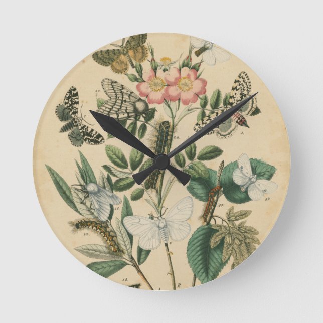 Horloge Ronde Étapes de la vie des papillons par Vision Studio (Recto)