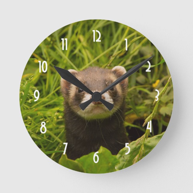 Horloge Ronde Ferret Brown dans l'herbe (Recto)