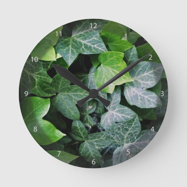 Horloge Ronde Feuille ivoire (Recto)
