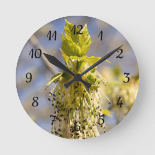 Horloge Ronde Feuille mignons en photo de printemps