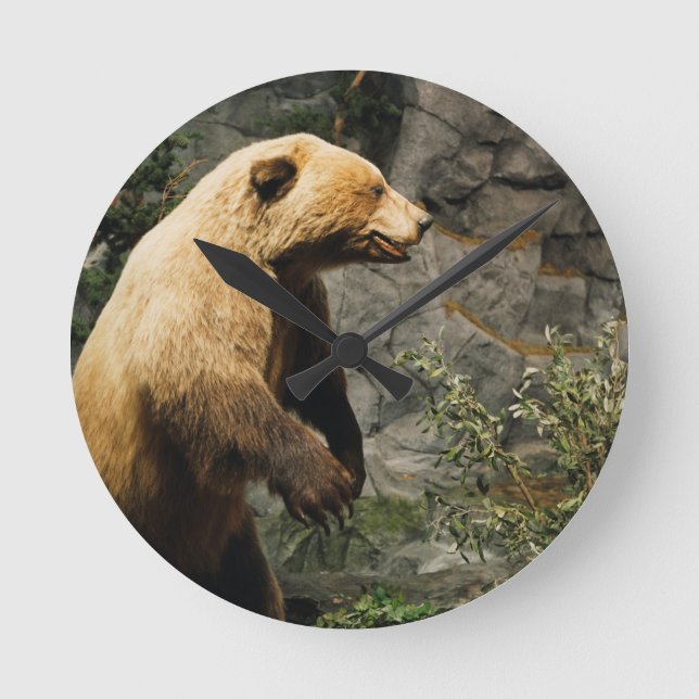 Horloge Ronde Fière Ours (Recto)