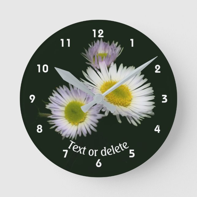 Horloge Ronde Fleabane Daisy Fleurs Sauvages Personnalisé   (Recto)