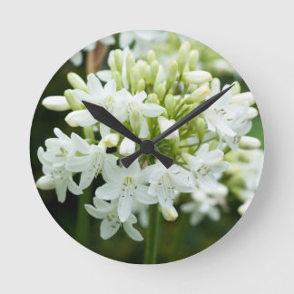Horloge Ronde Fleur Agapanthus blanche