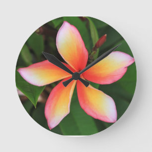 Horloge Ronde Fleur de frangipanier
