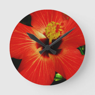 Horloge Ronde Fleur d'Hibiscus rouge-orange