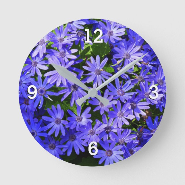 Horloge Ronde Fleurs bleues à la marguerite Nature Photographie (Recto)