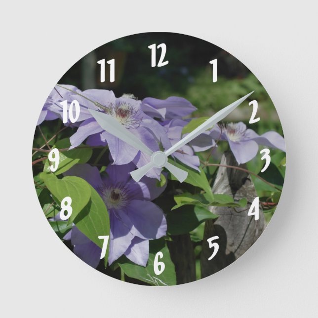 Horloge Ronde Fleurs Clematis Violettes Sur La Clôture (Recto)