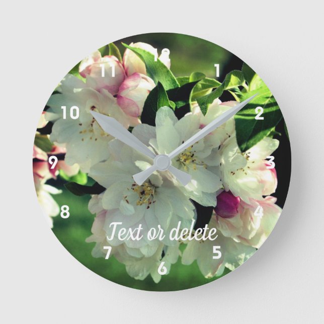 Horloge Ronde Fleurs de pommier sauvage de printemps 2 Personnal (Recto)