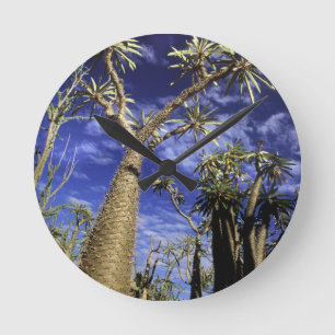 Horloge Ronde Forêt D'Épineux Formée De Pachypodes