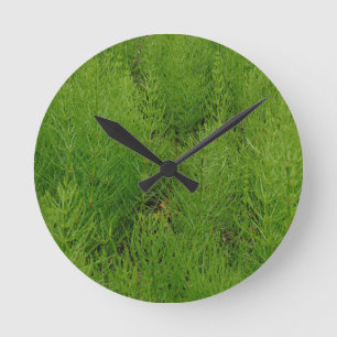Horloge Ronde Fougères de queue de cheval