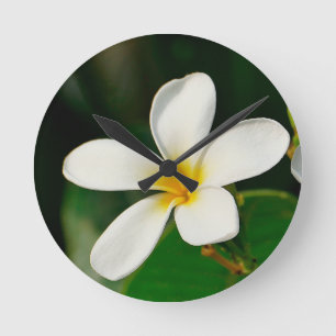 Horloge Ronde Frangipani blanc