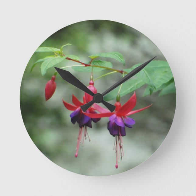 Horloge Ronde Fuschia1A.jpg (Recto)