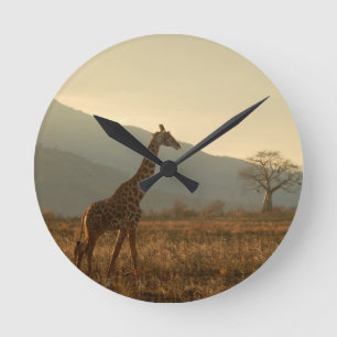 Horloge Ronde Girafe dans la savane