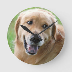 Horloge Ronde golden-retriever-31