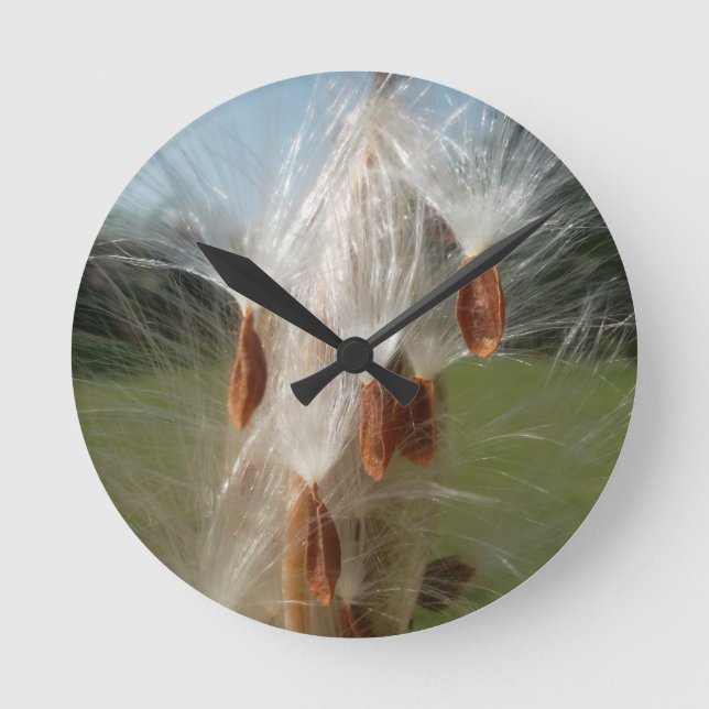 Horloge Ronde Graines flottantes d'algue Art Imprimer/Graphique (Recto)