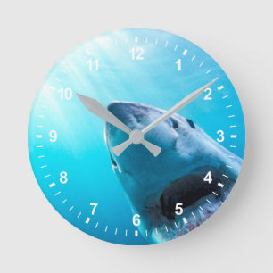 Horloge Ronde Grand requin blanc Afrique du Sud
