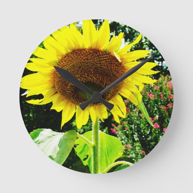 Horloge Ronde Grand tournesol jaune (Recto)