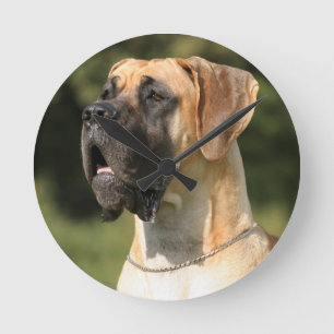 Horloge Ronde Great Dane - fawn / Deutsche Dogge - jaune
