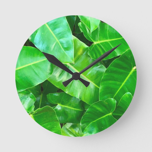 Horloge Ronde Green feuille Palm Leaf feuillage tropical jungle (Recto)