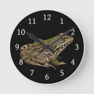 Horloge Ronde Grenouille