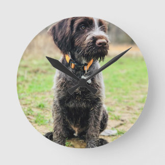 Horloge Ronde Griffon puppy